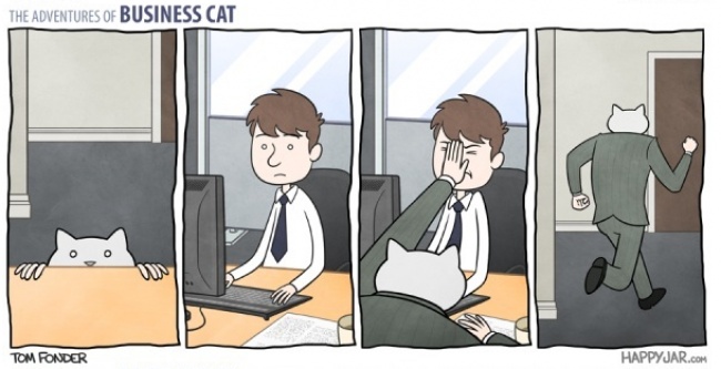 бизнесс кот