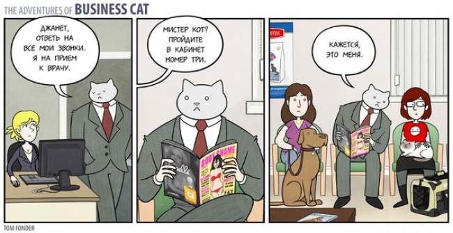 бизнесс кот