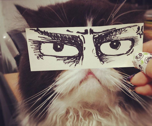 нарисованные глаза кошка